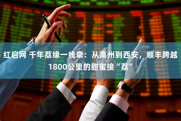 红启网 千年荔缘一线牵：从高州到西安，顺丰跨越1800公里的甜蜜接“荔”