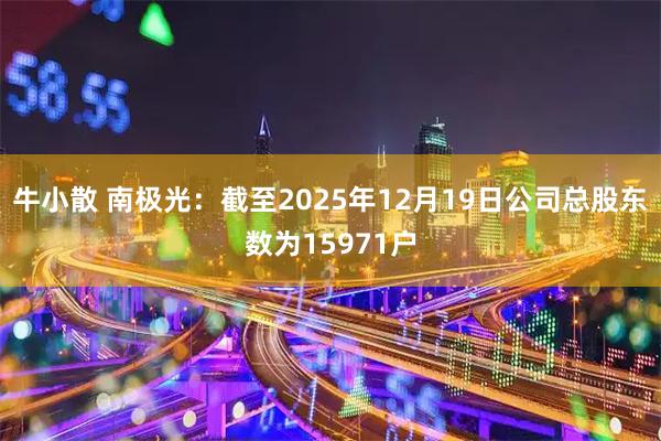 牛小散 南极光：截至2025年12月19日公司总股东数为15971户